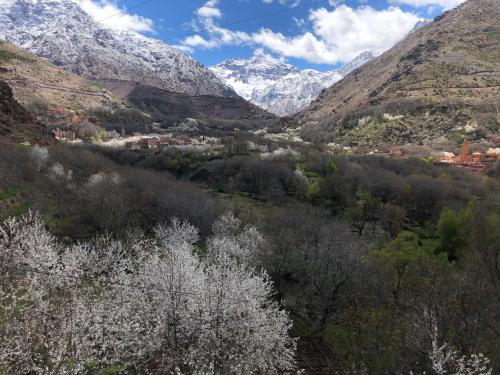 Фотография мини отеля Riad Atlas 4 Seasons