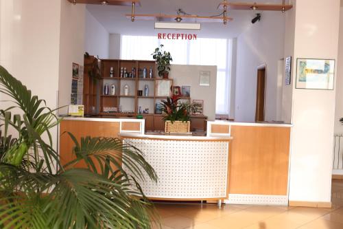 Фотография гостиницы Hotel Dana