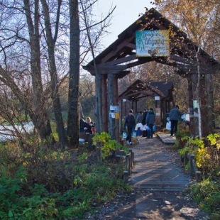 Фотография достопримечательности Родник Ивушка
