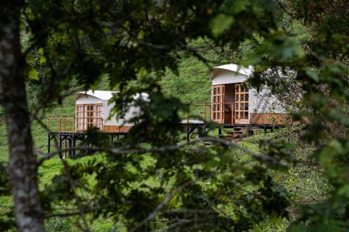 Фотография мини отеля Birdglamping Aviturismo Los Arboles Hotel