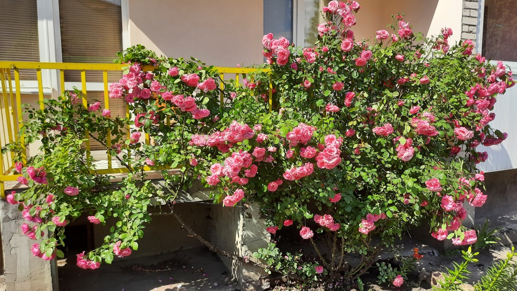 Фотография квартиры Апартаменты Квартира с двумя спальнями в центре