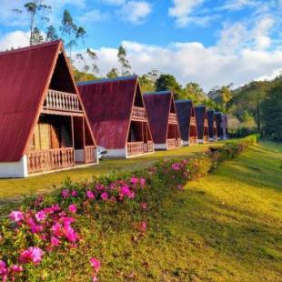 Фотографии гостевого дома
Estancia Caminho das Nascentes