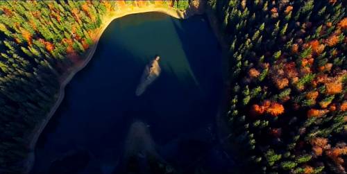 Фотографии мини отеля
Берлога-Синевир