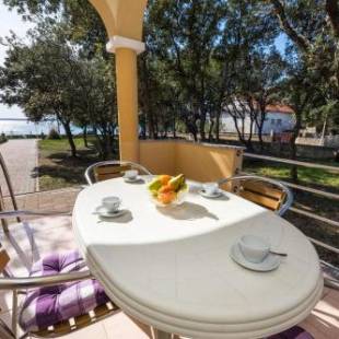 Фотографии гостевого дома
Apartments by the sea Vrsi - Mulo, Zadar - 5951