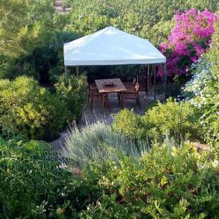 Фотографии гостевого дома 
            Aegina's Oasis