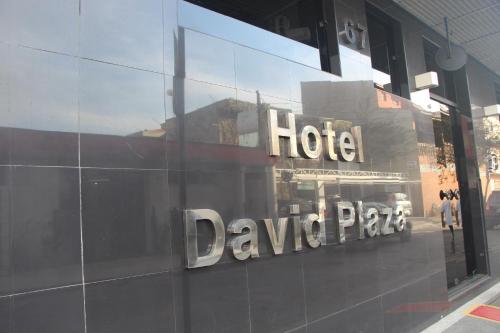 Фотография гостиницы David Plaza Hotel