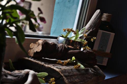 Фотографии хостела 
            Горизонталь