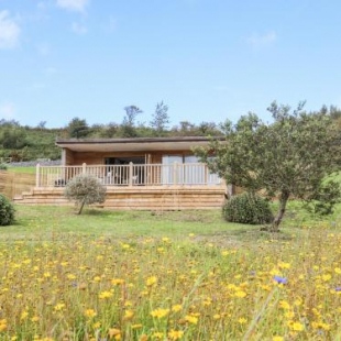 Фотография гостевого дома Meadow Lodge