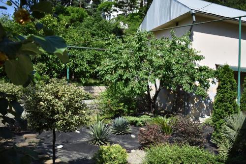 Фотографии гостевого дома 
            У Вадима