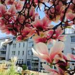 Фотография гостиницы Hotel Astoria City Resort