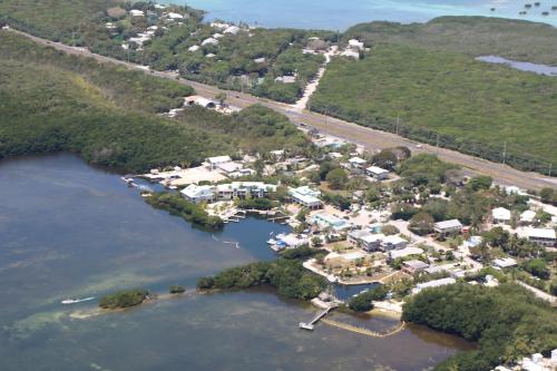 Фотография мини отеля Snappers Key Largo