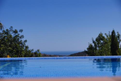 Фотография мини отеля Casa Mocho Branco