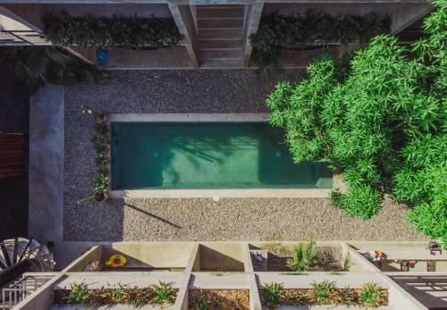 Фотография гостиницы Casa UMI