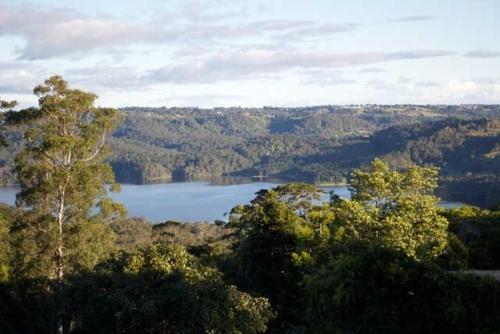 Фотография мини отеля Montville Misty View Cottages