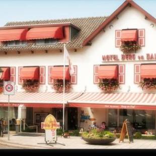 Фотографии гостиницы 
            Hotel Berg en Dal