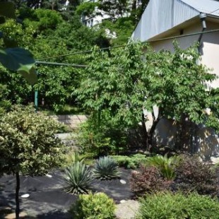 Фотография гостевого дома У Вадима