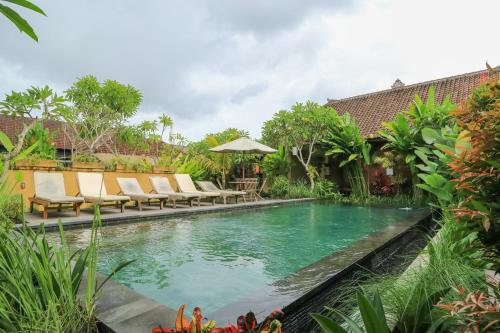 Фотография мини отеля Bali Sunshine Homestay And Art Gallery