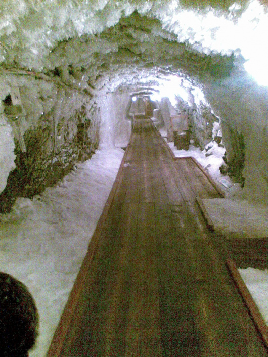 Фотографии музея
Музей вечной мерзлоты