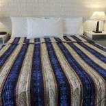 Фотография мотеля Bondi Motel