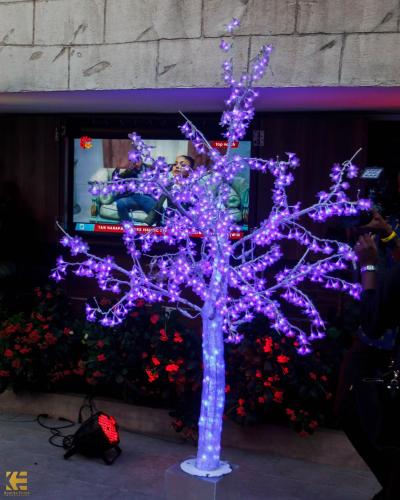 Фотографии гостиницы
Scarlet Lodge