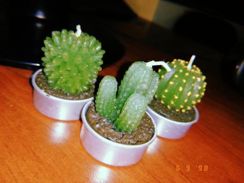 Фотографии хостела
Сантера