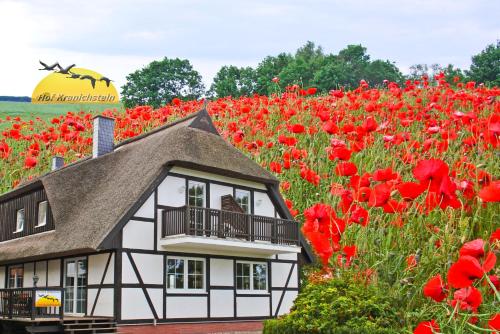 Фотография гостевого дома Hof Kranichstein