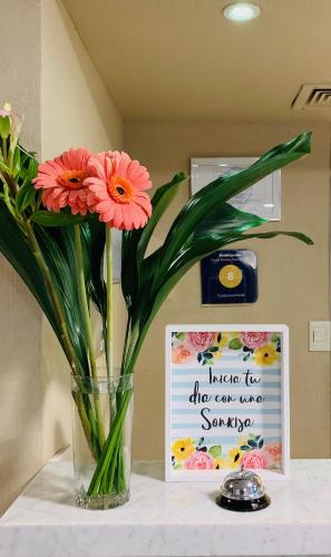 Фотография гостиницы Costanera Hotel