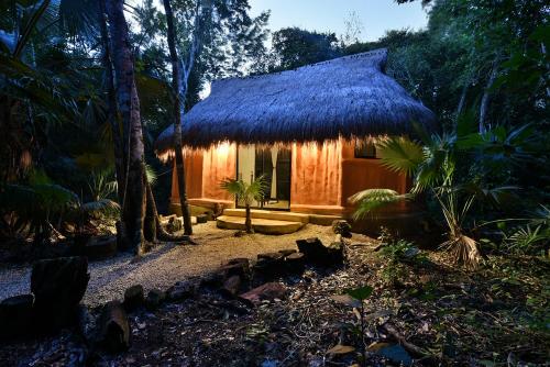 Фотография гостиницы Jolie Jungle Eco Hotel