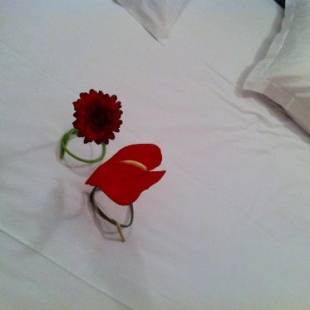 Фотографии гостиницы
Fasthotel L'Eldorado