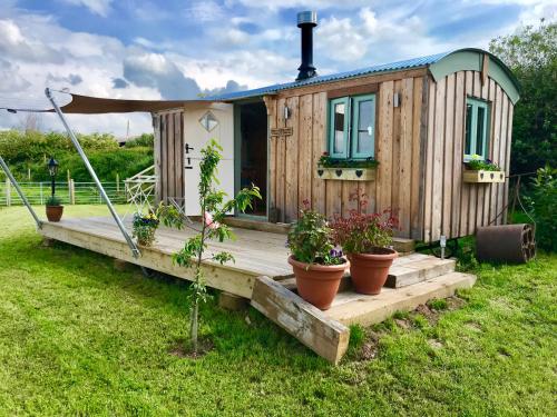 Фотография базы отдыха Willowbank shepherds hut