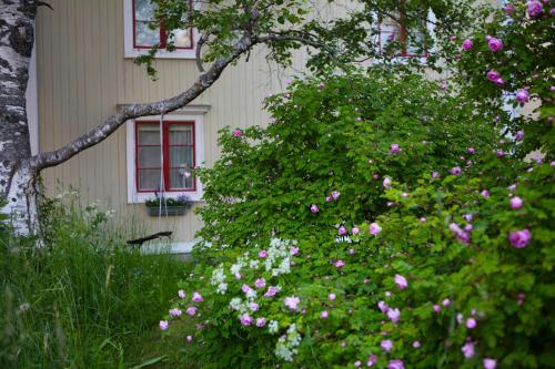 Фотография апарт отеля Prästgatanett Apartments