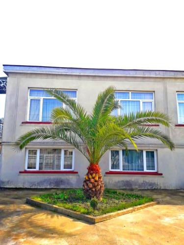 Фотография гостевого дома MG Guest House Zugdidi