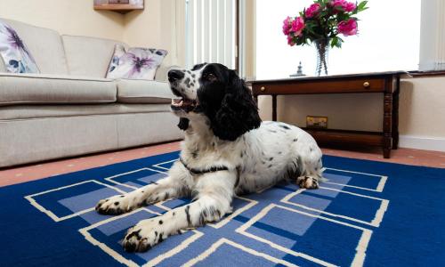 Фотография гостевого дома Kents Bank Holiday - Pet Friendly with Bay Views