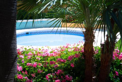 Фотография гостиницы Hotel Monarque Torreblanca