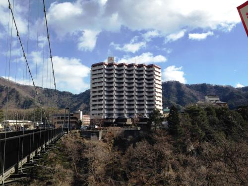 Фотография мини отеля Hotel Sunshine Kinugawa