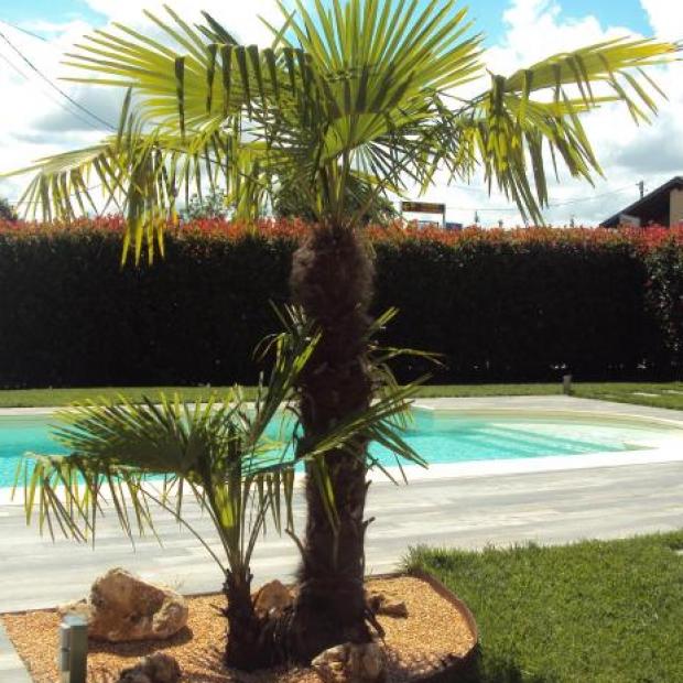 Фотографии гостевого дома
Springs Loft