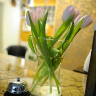 Фотографии гостевого дома
Penzion Blesk