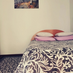 Фотография квартиры Квартира на Улице Диктатуры Пролетариата, 40А