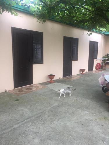 Фотография гостевого дома Кайт Хата