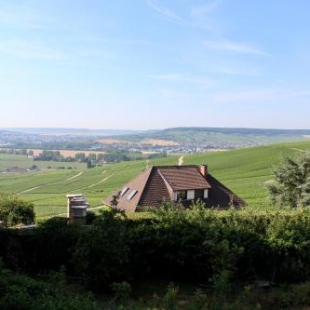 Фотография гостевого дома Le Sarment - HAUTVILLERS