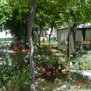 Фотография мини отеля Baby-Lux