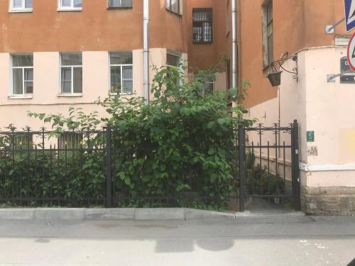 Фотография гостиницы Белый Бегемот