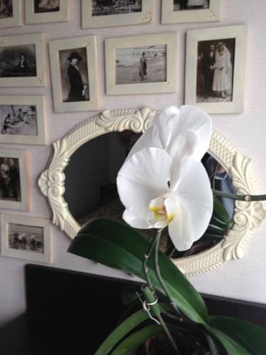 Фотографии мини отеля 
            Вороново Клубъ