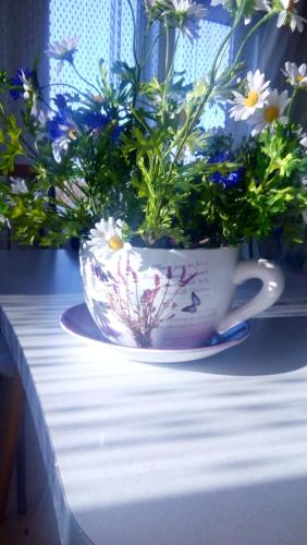 Фотографии гостевого дома
Хутор Дальний кардон