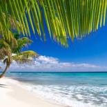 Фотография гостевого дома Appart Bleu Caraibe Bord de Mer