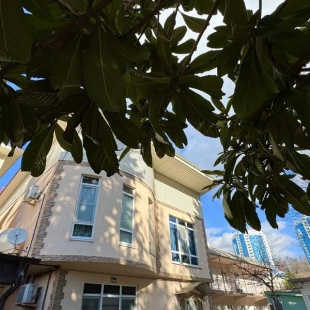 Фотография гостиницы Семейный остров