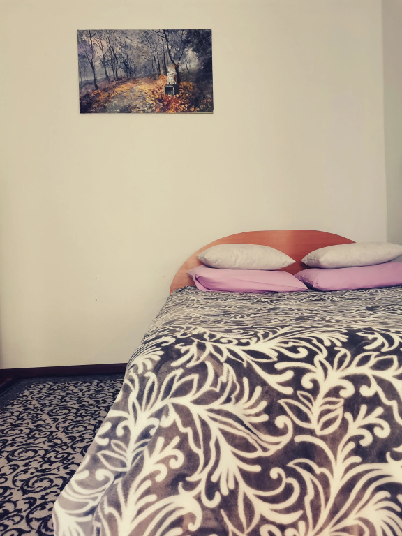 Фотография квартиры Квартира на Улице Диктатуры Пролетариата, 40А