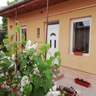 Фотографии гостевого дома
BORINA VENDÉGHÁZ