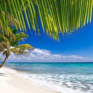 Фотографии гостевого дома 
            Appart Bleu Caraibe Bord de Mer