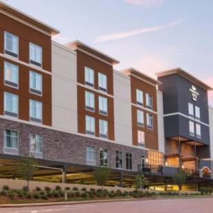 Фотографии гостиницы
Homewood Suites Atlanta/Perimeter Center